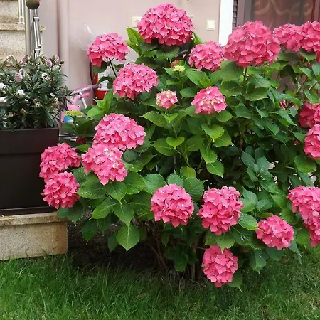 Appartement Yasoo Olympiada